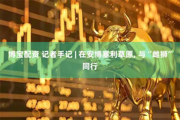博宝配资 记者手记 | 在安博塞利草原, 与“雌狮”同行